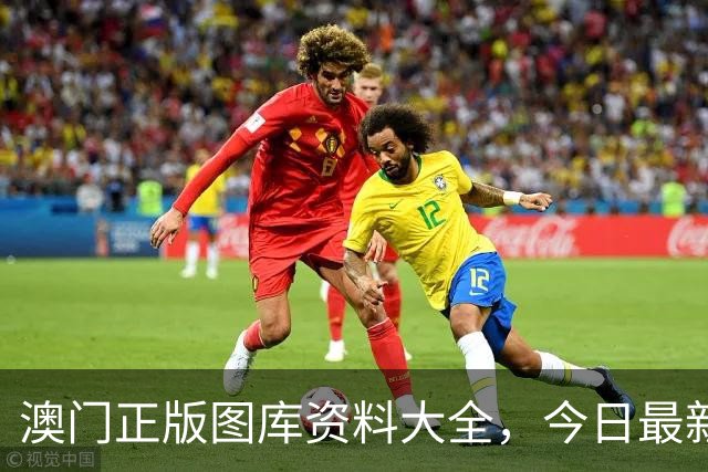 澳门正版图库资料大全，今日最新四九图库马会真传澳门跑狗四不像资料大全2026年新六合彩生肖码图