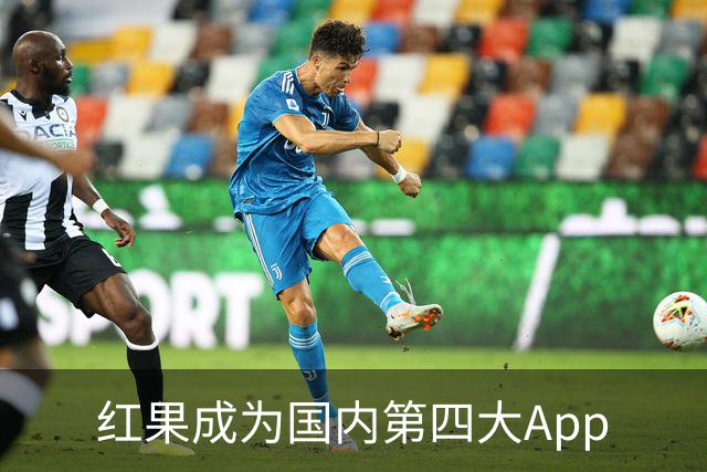 红果成为国内第四大App