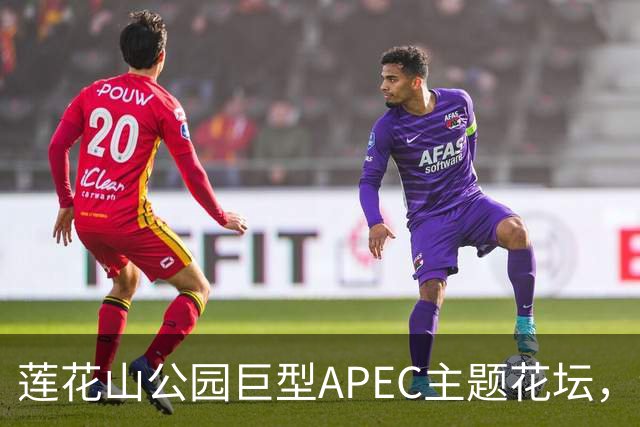 莲花山公园巨型APEC主题花坛，绿雕长达21米
