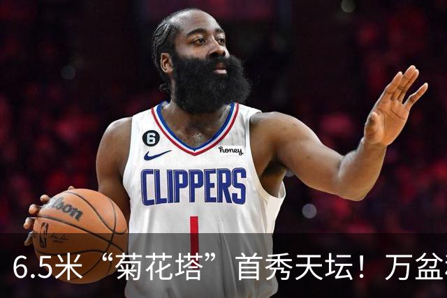 6.5米“菊花塔”首秀天坛！万盆秋菊限时上线，错过等一年